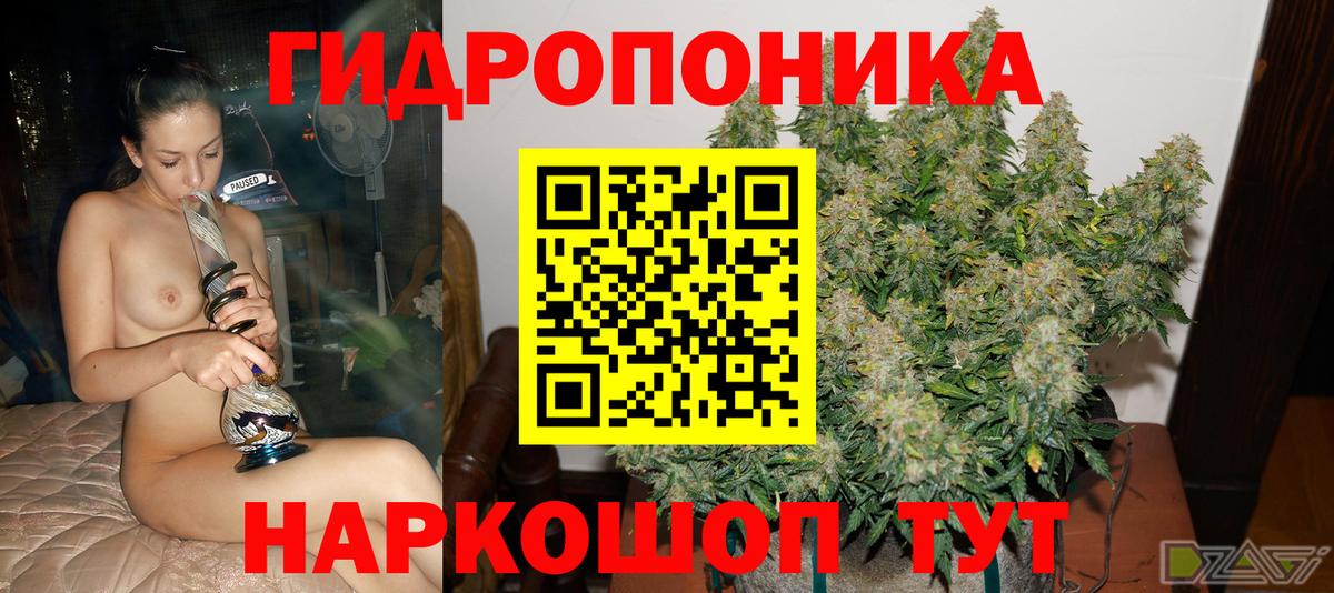 Кириши  Канабис гибрид  Марихуана THC 21%  Вход с VPN 